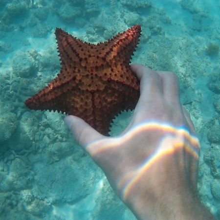 Hotel Pedernales Italia Republica Dominicana Kültér fotó